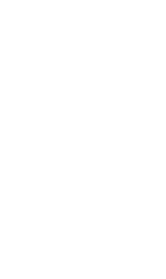 Sue Ellen's